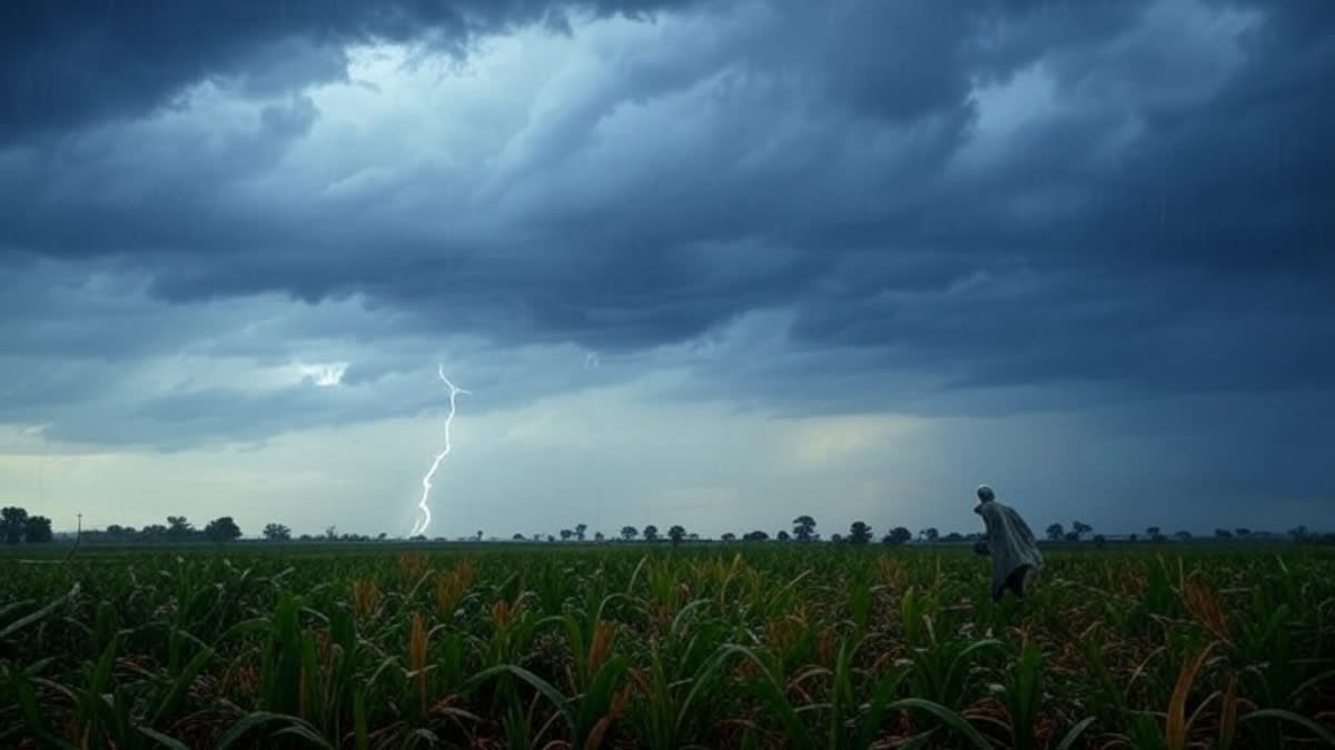 Rain Alert in Haryana