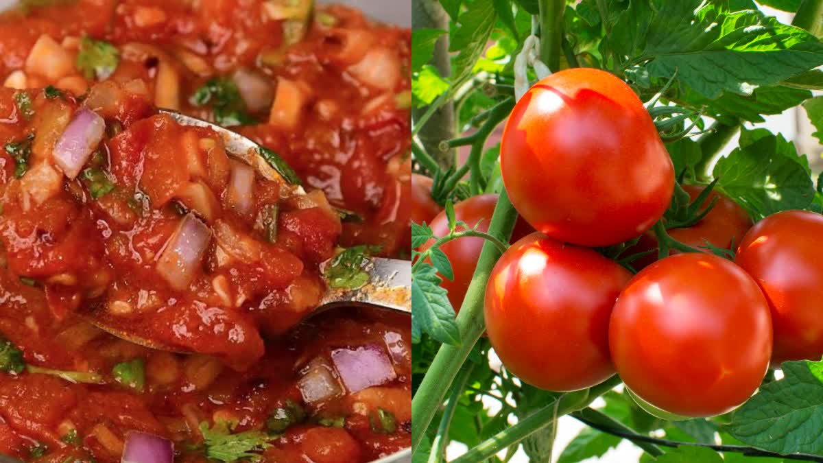 Instant Tomato Pachadi at Home