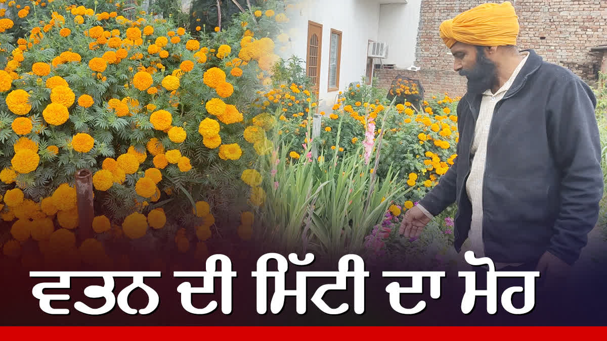 FLOWER FARMING IN PUNJAB