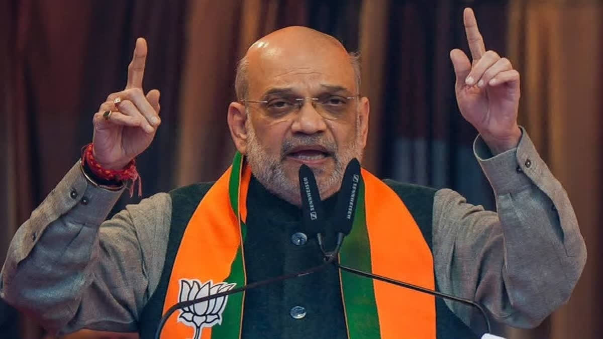 MP To Play Major Role In Achieving Goal Of Making India Developed Nation: Shah