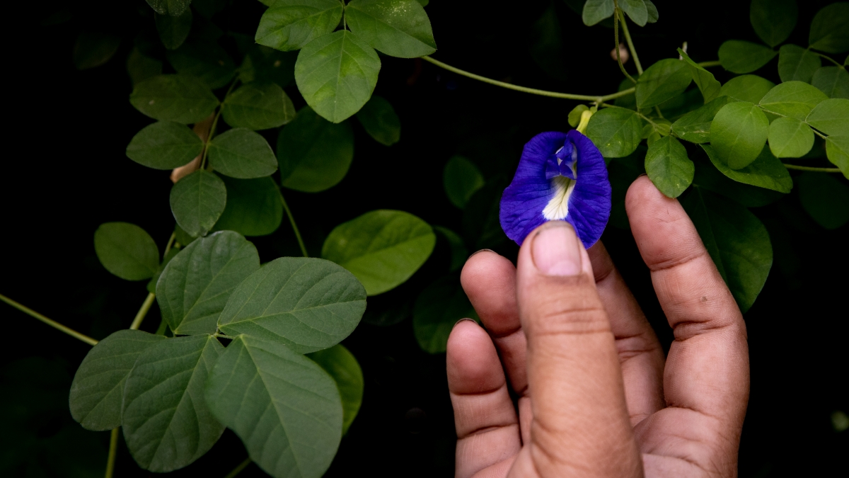 கோப்புப்படம்