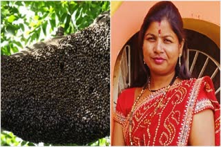 woman died and six people injured in honey bee attack in Akola