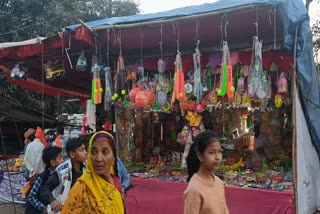 Mahashivratri Fair Preparation