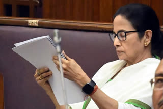 No Compromise On Tea Cultivation Amidst Tourism Approvals: Bengal CM Mamata