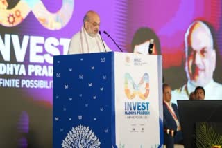 AMIT SHAH IN GLOBAL INVESTOR SUMMIT