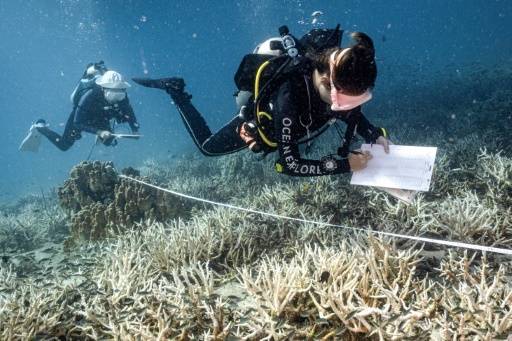 The world's biggest nature conservation conference will restart today after negotiations collapsed in disarray last year, with the head of the meeting warning that increasing global 