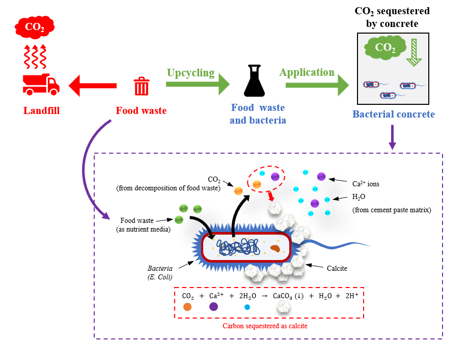 With food waste help strength of concrete can be doubled