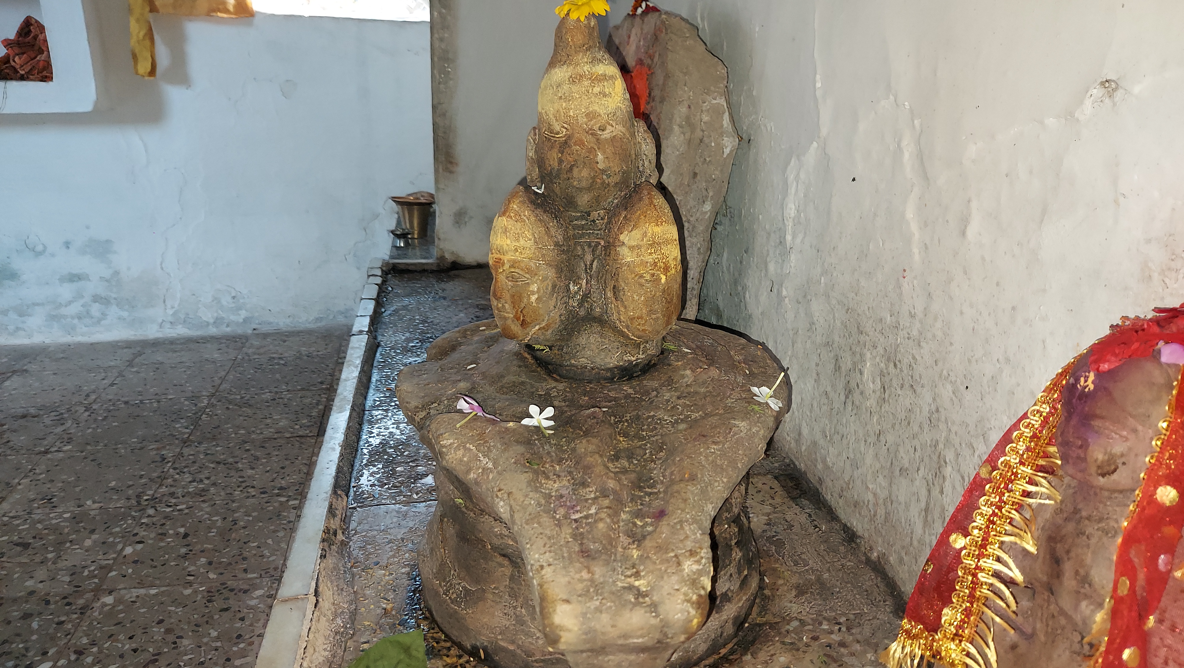 vidisha Pashupatinath temple