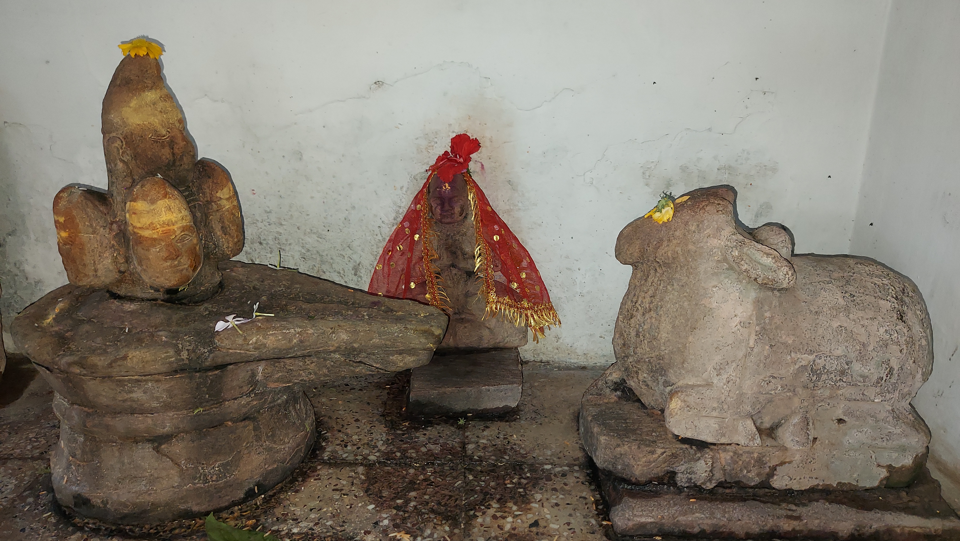 vidisha Pashupatinath temple