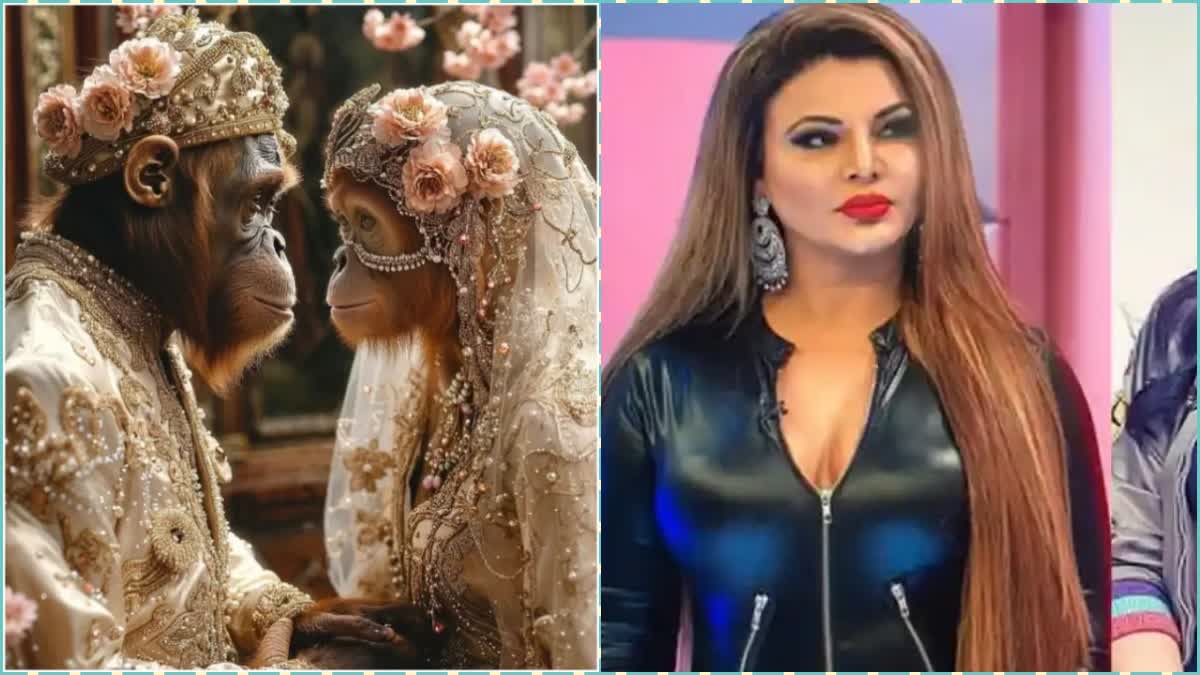 Rakhi Sawant and  Adil Khan Durrani