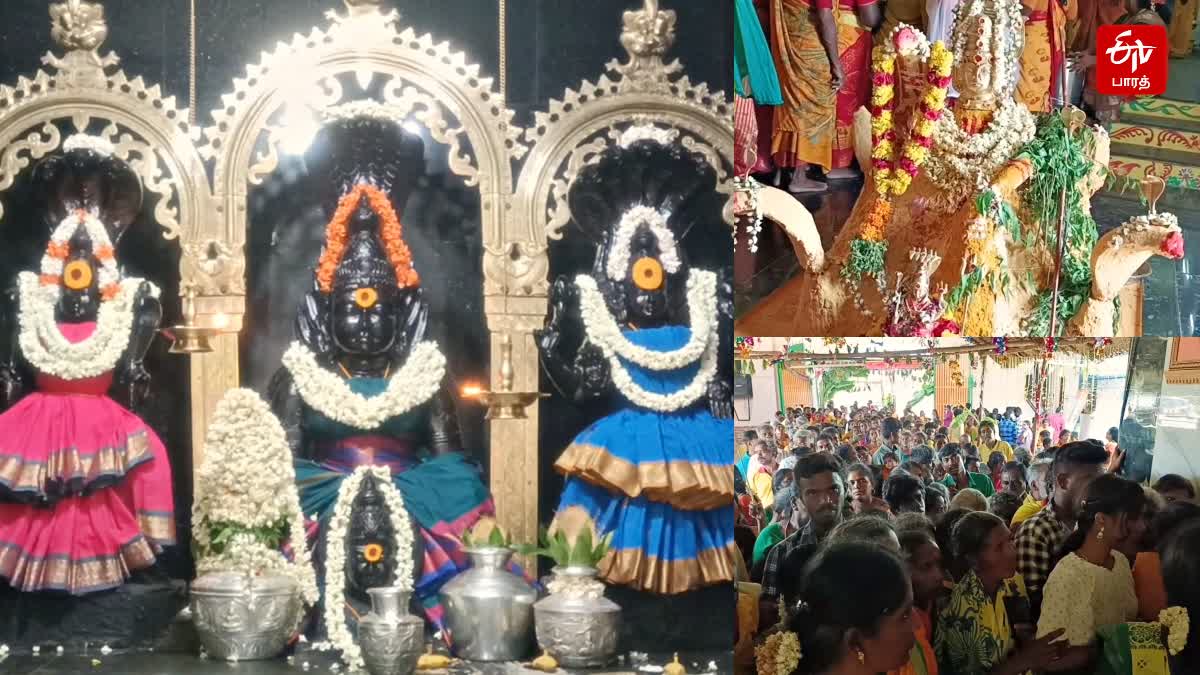 Panguni uthiram celebration in Puliyangudi