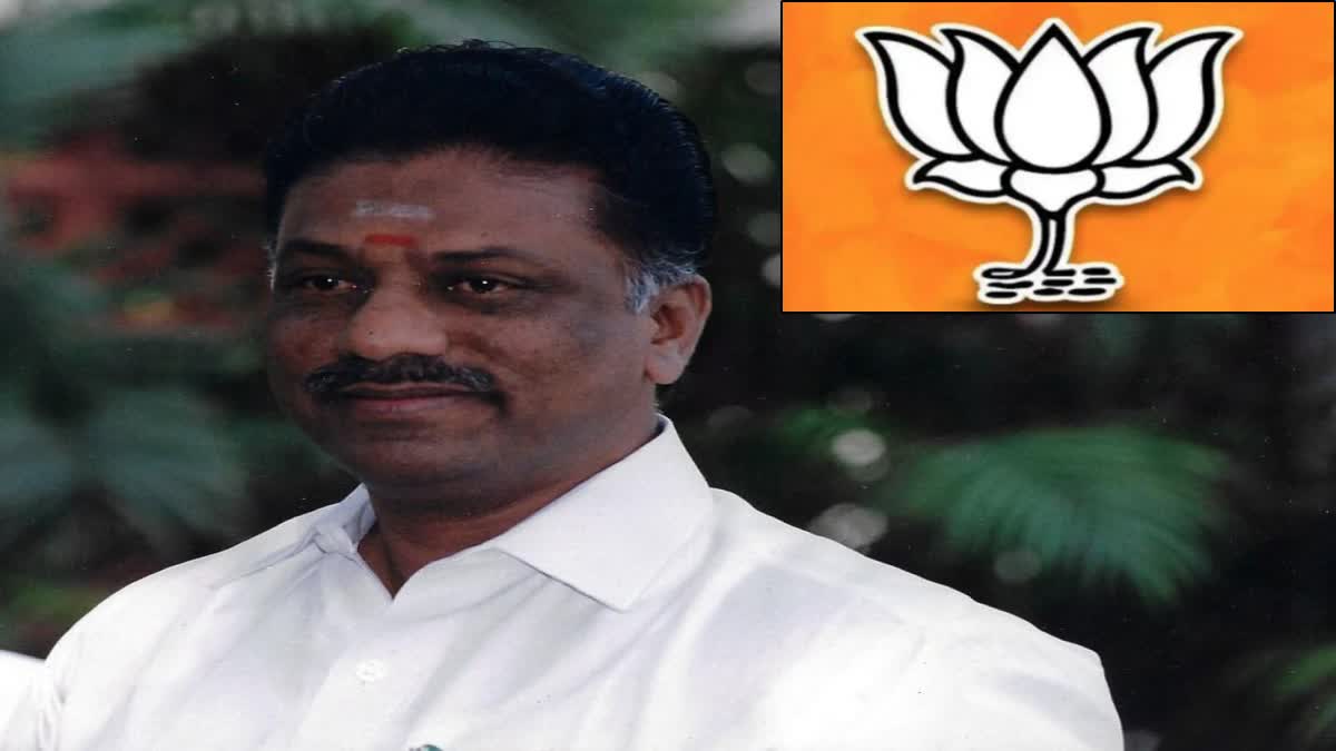 O Panneerselvam Contest As Independent Candidate