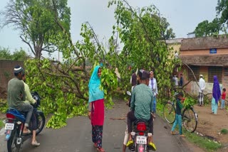 Death due to lightning in Jharkhand