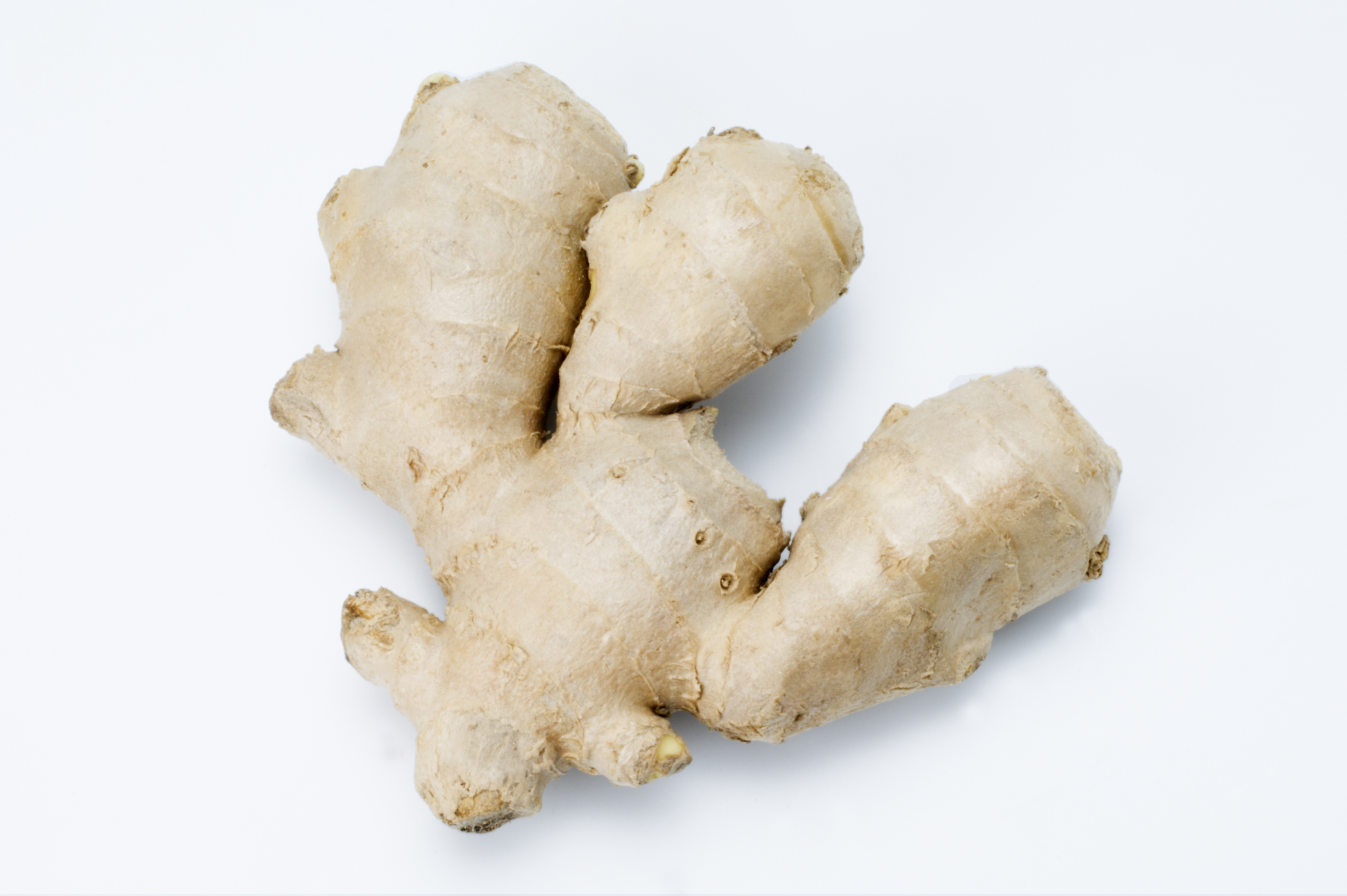 Ginger
