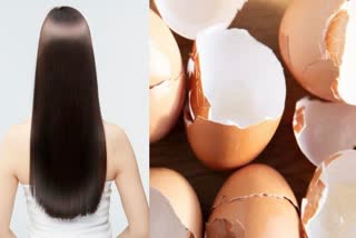 EGGSHELL BENEFITS FOR HAIR GROWTH