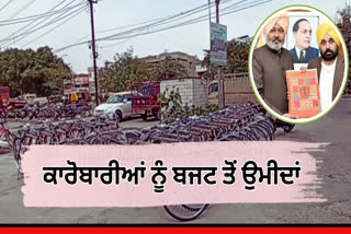 Punjab Budget 2025