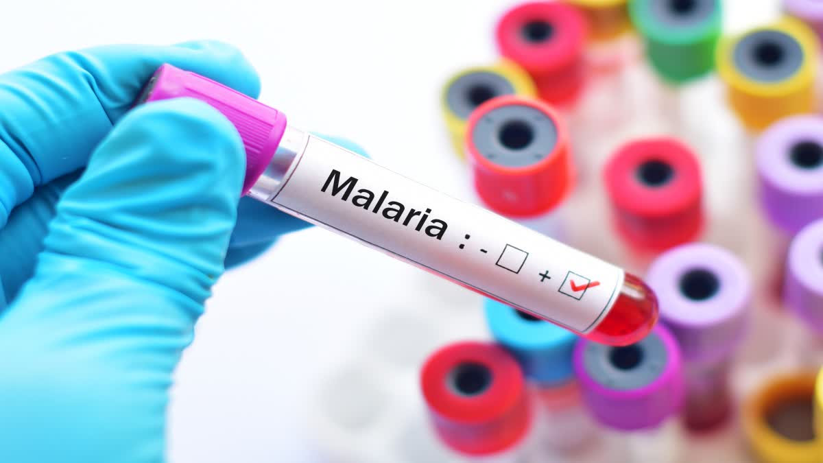 World Malaria Day News