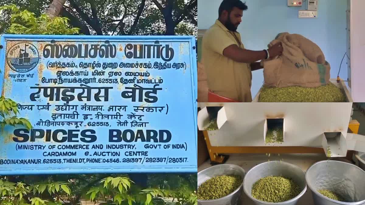 Cardamom price sets new hike