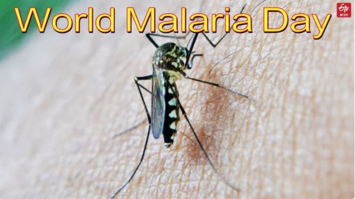 ملیریا کا عالمی دن خصوصی: ملیریا صرف ایک بیماری ہیں بلکہ موت کی وجہ بھی ہیں - ملیریا کا عالمی دن
