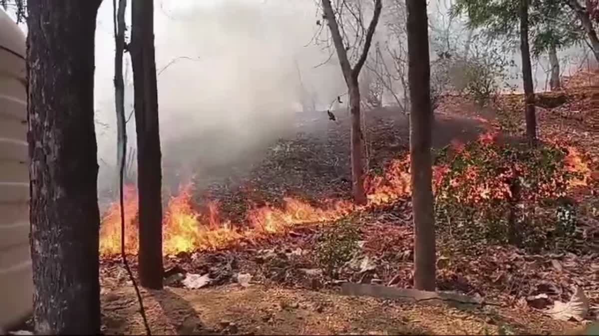 GWALIOR GOPACHAL MOUNTAIN FIRE