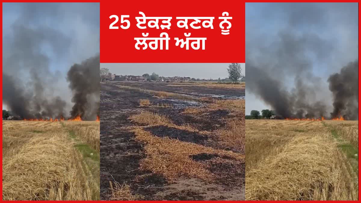 25 ACRES OF CROPS BURNT DOWN