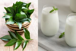 Curry Leaves Buttermilk Benefits For Skin