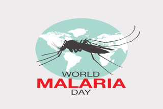 world-malaria-day-2024-malaria-symptoms-in-Kannada-here-you-know