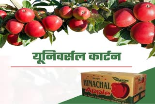 Universal Carton for Apple Packing in Himachal