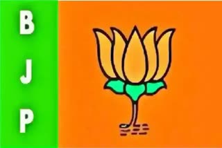 bjp mp candidates nomination live