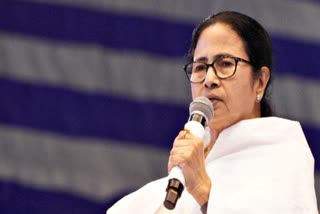 Mamata Banerjee campaign for Lok Sabha Election 2024