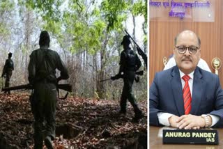 BIJAPUR NAXALITES SURRENDER