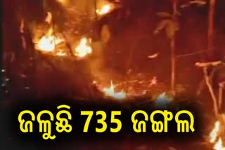 Forest Fire in Gajapati