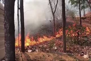 GWALIOR GOPACHAL MOUNTAIN FIRE