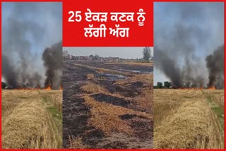 25 ACRES OF CROPS BURNT DOWN