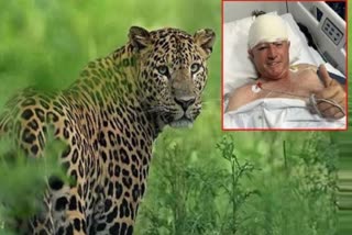 زمبابوے کے سابق کرکٹر چیتے کے حملے میں زخمی،کتے نے بچائی جان