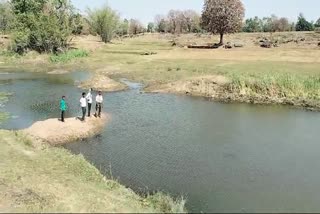 TWO SISTERS DROWNING IN POND