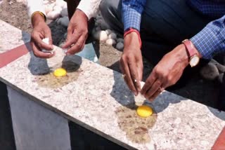 OMELETTE ON ROAD AMID SUMMER