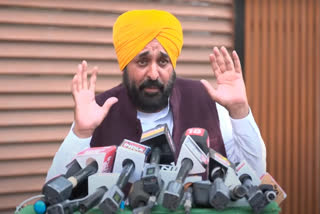 Punjab Chief Minister Bhagwant Mann attacked the BJP for its "divisive politics" on Thursday, saying that these Lok Sabha elections are about preserving democracy and that if people miss this opportunity, there won't be any more elections.