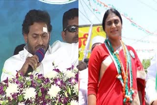 YS Jagan Fire On YS Sharmila