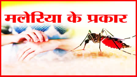 WORLD MALARIA DAY 2024