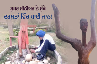 Dr Nanda Park Ludhiana