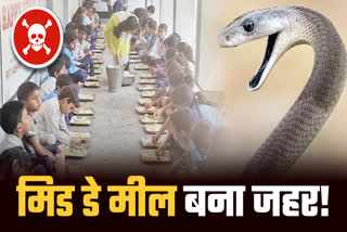 SNAKE FOUND IN MID DAY MEAL
