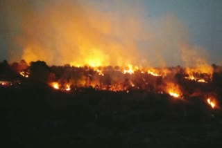 FIRE IN FOREST BHOPAL