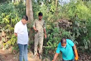 bodies of young man and woman found in forest in Hazaribag