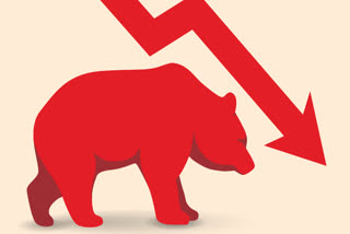 Stock Market