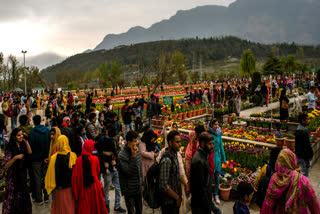Kashmir Tourism