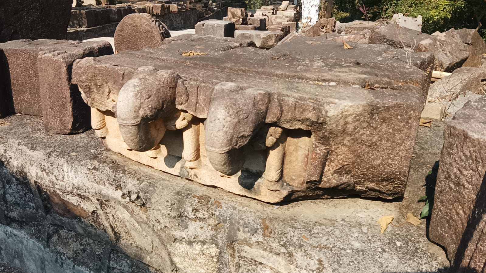 Deopahar is full of historical archaeological material at Numaligarh