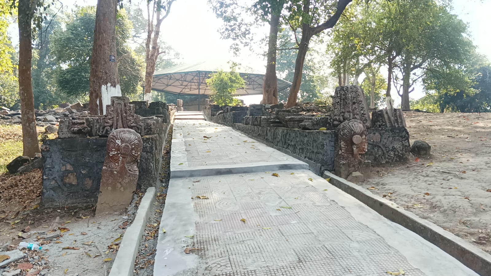 Deopahar is full of historical archaeological material at Numaligarh