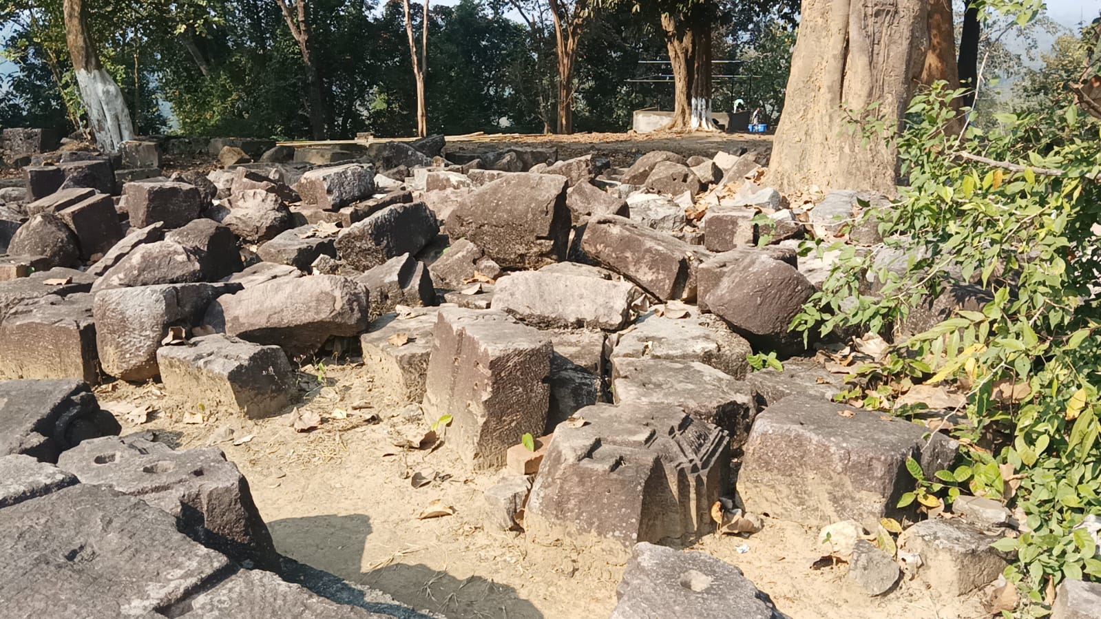 Deopahar is full of historical archaeological material at Numaligarh