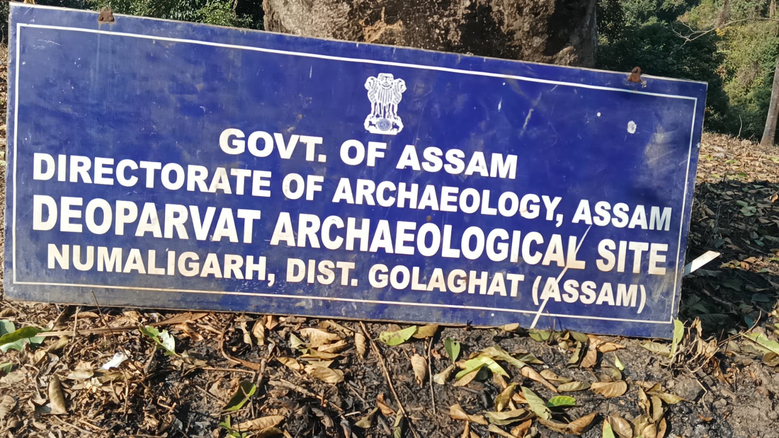 Deopahar is full of historical archaeological material at Numaligarh